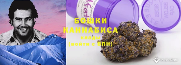 ГАЛЛЮЦИНОГЕННЫЕ ГРИБЫ Беломорск