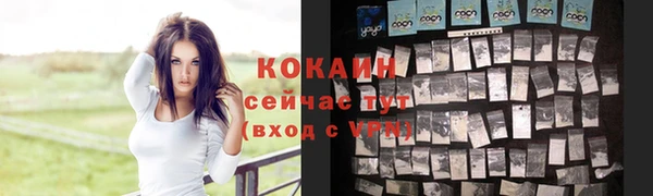 ГАЛЛЮЦИНОГЕННЫЕ ГРИБЫ Беломорск