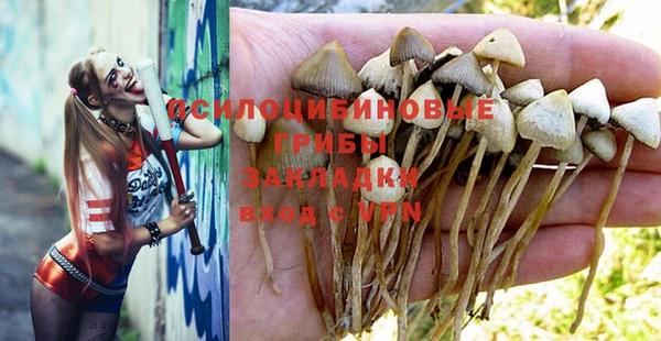гидропоника Белокуриха