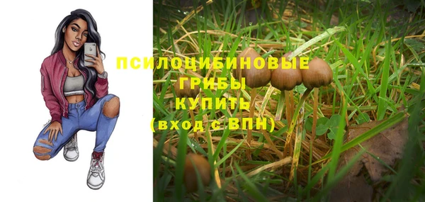 ПСИЛОЦИБИНОВЫЕ ГРИБЫ Болохово