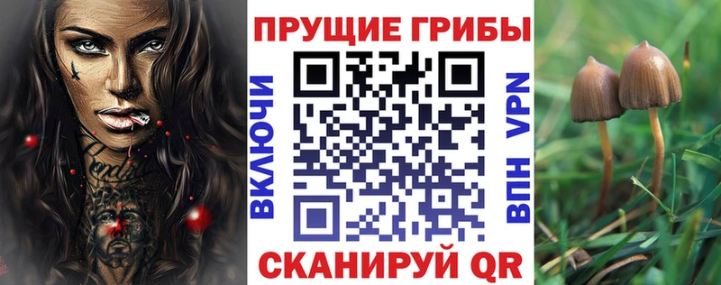 где найти   Гороховец  Галлюциногенные грибы мухоморы 